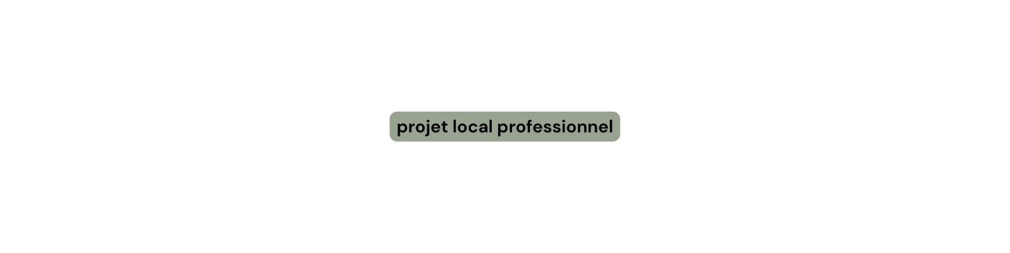 projet local professionnel
